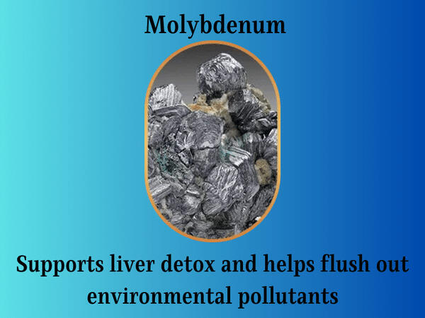 molybdenum helps flush out environmental pollutants