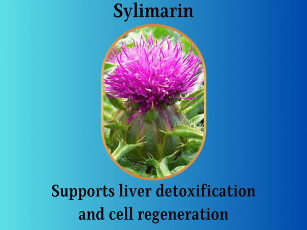 sylimarin supports liver detox