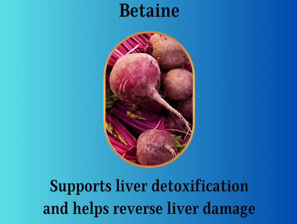 betaine supports liver deox and helps reverse liver damage