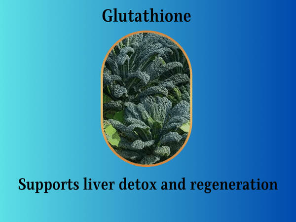 glutathione supports liver detox and regeneration